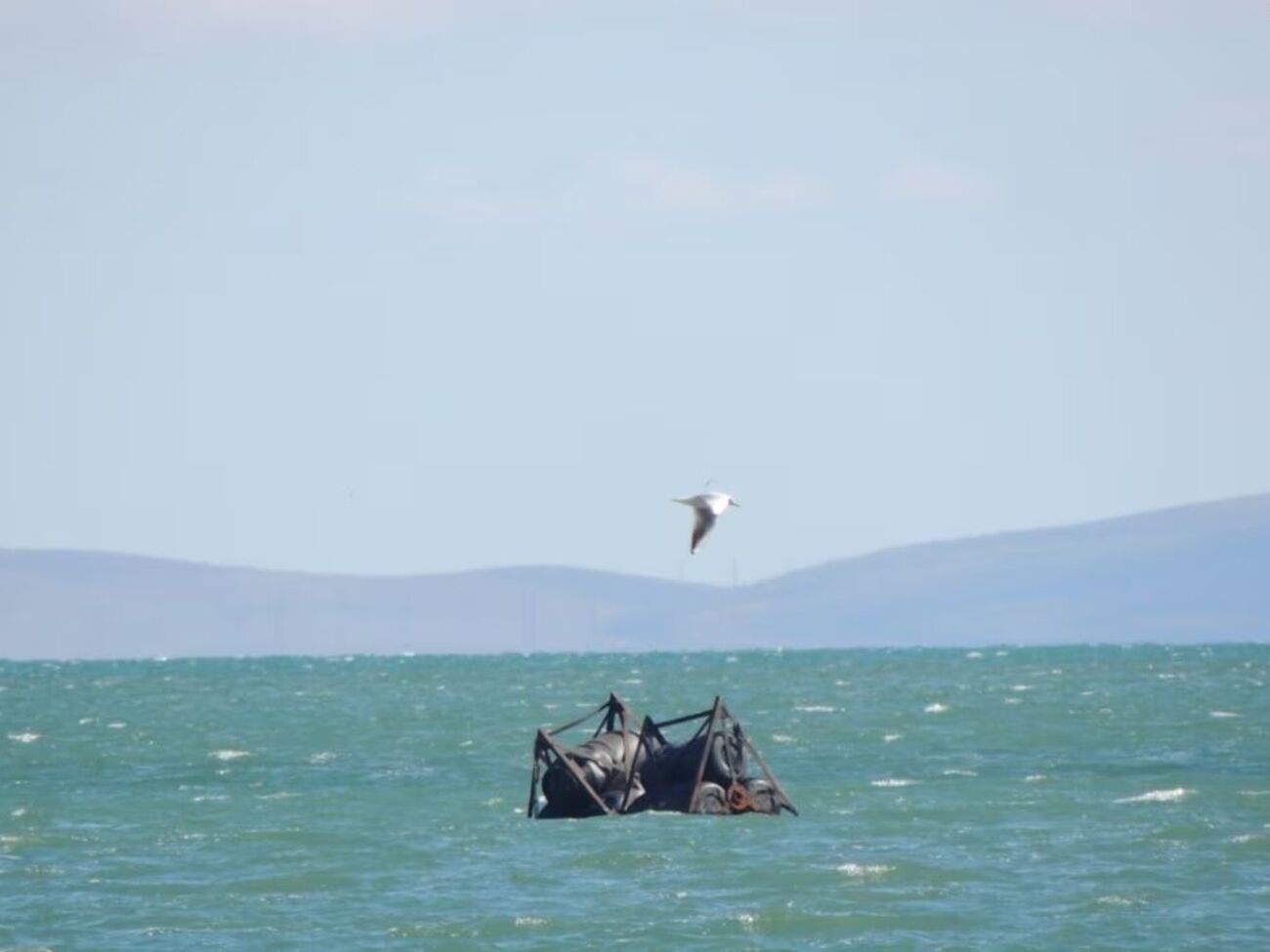 Фрагменты заграждения прибило к побережью в Керчи
