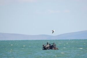 Фрагменты заграждения прибило к побережью в Керчи