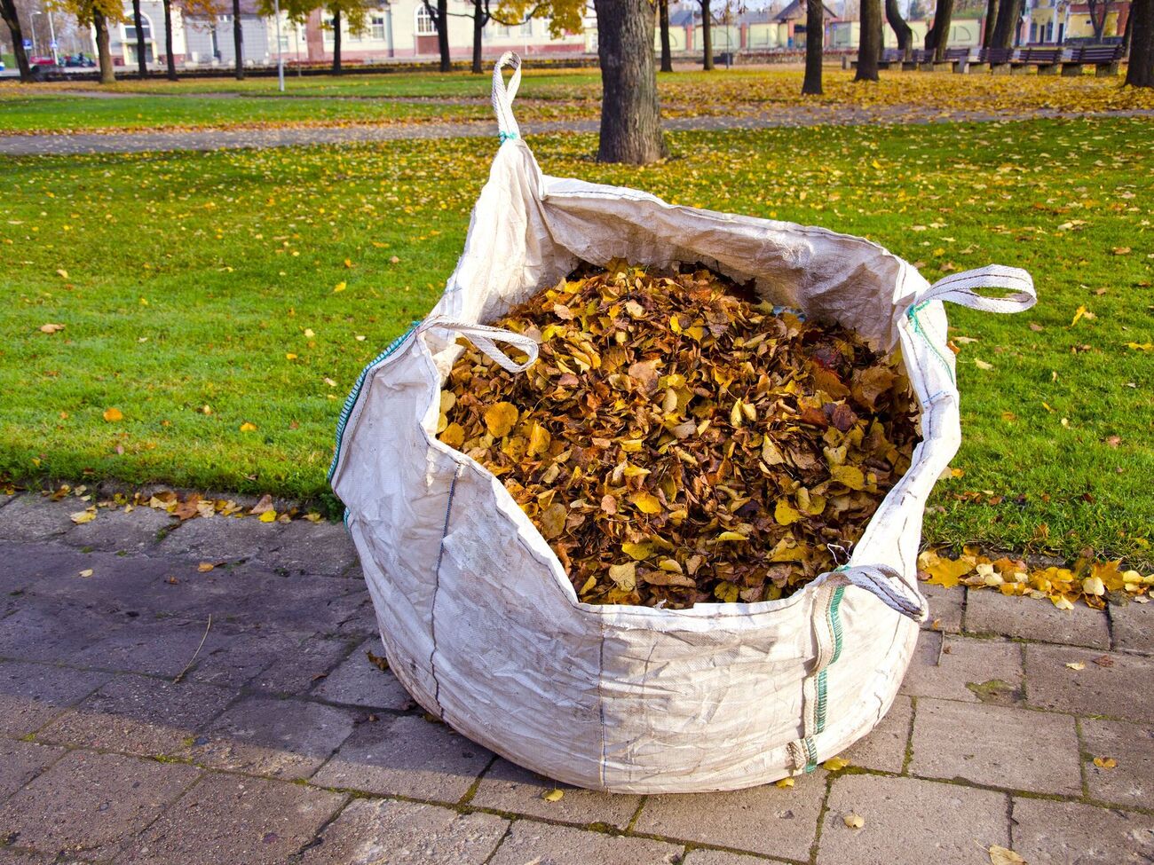 Листя для компосту збирають у пакет