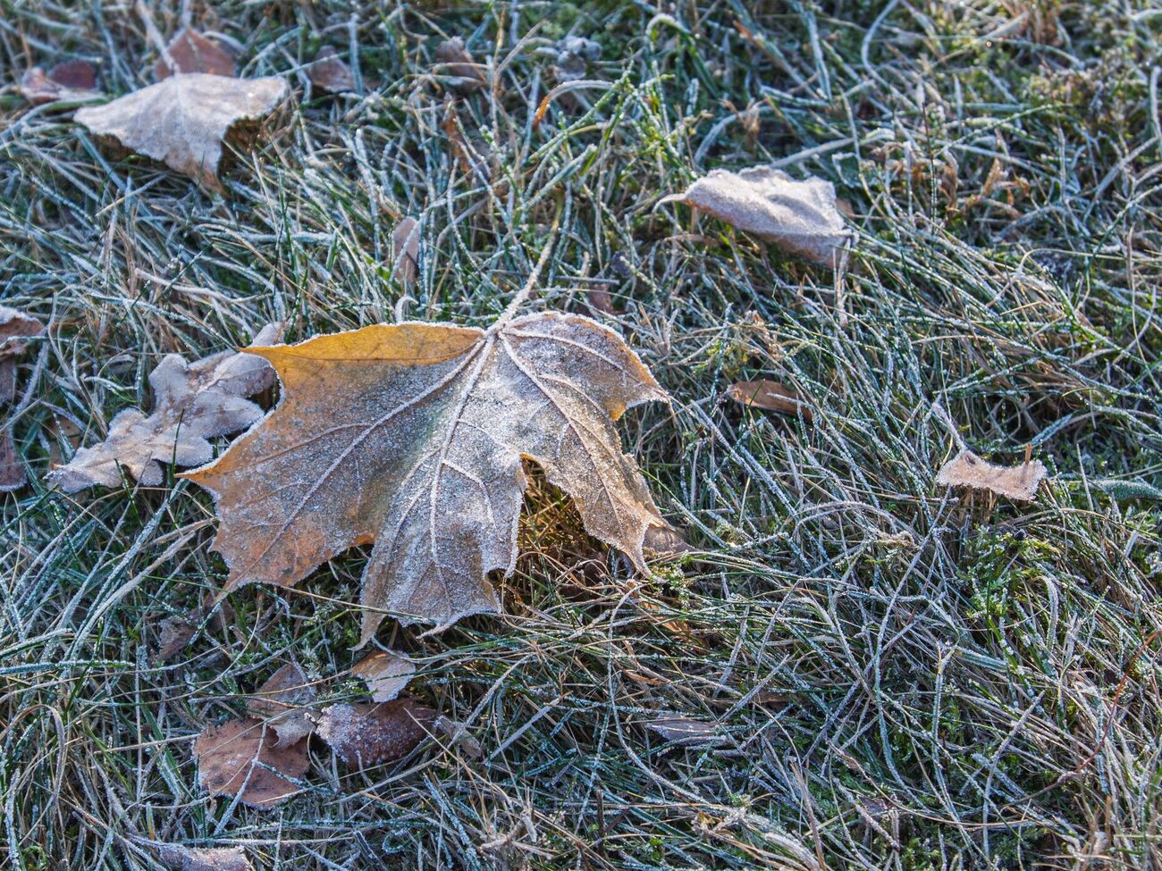 В Украине упадет ночная температура