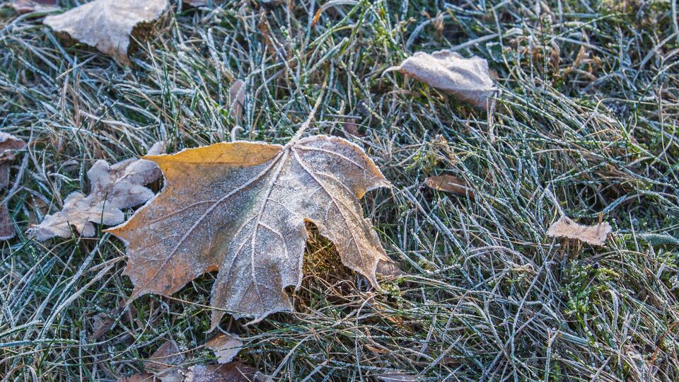 В Украине упадет ночная температура