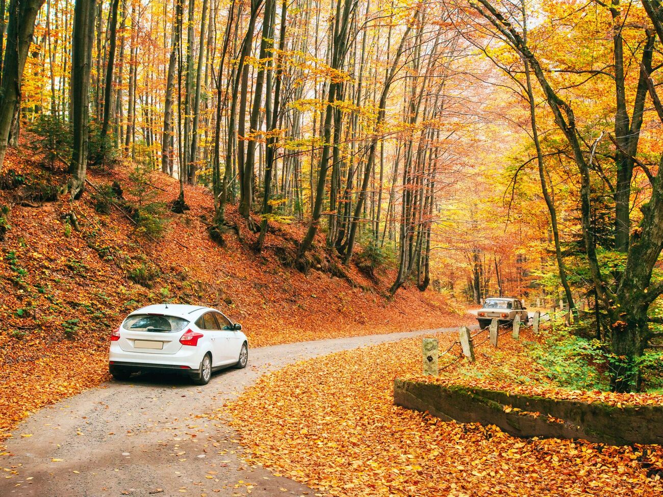 Животные в поисках уютного места в холодное время года могут спрятаться под арками колес или в выхлопной трубе