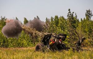 С января украинские военные уничтожили условных 144 артбригады врага, посчитали в Минобороны