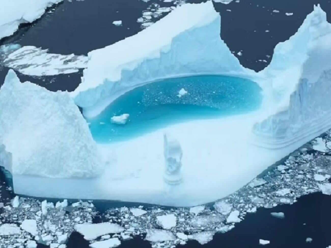 Айсберг сняли с дрона