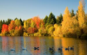 6 октября в ПЦУ будут чтить память святого апостола Фомы, который был одним из 12 ближайших учеников Иисуса Христа