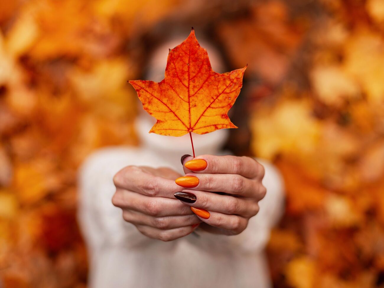 Кольори осені можна поєднувати між собою