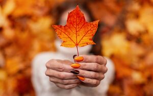 Кольори осені можна поєднувати між собою