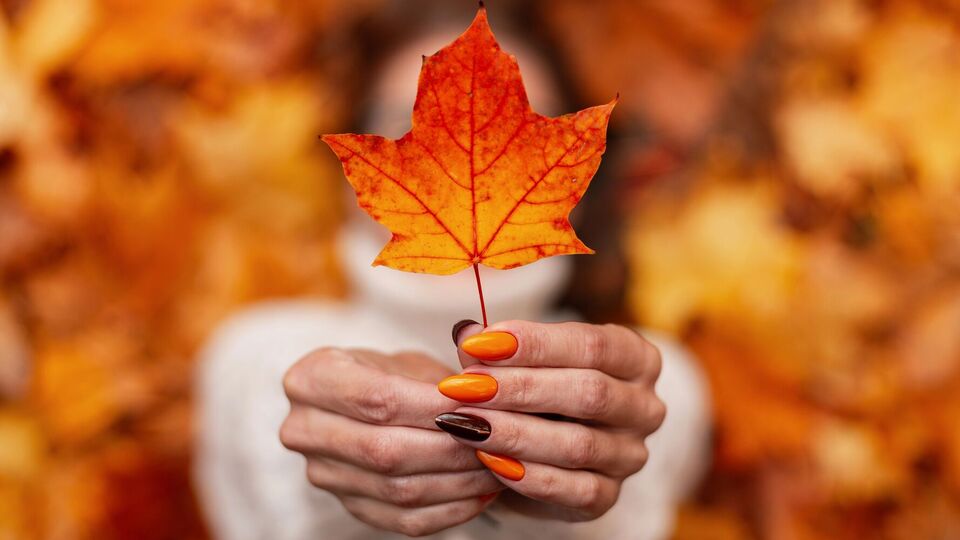 Кольори осені можна поєднувати між собою