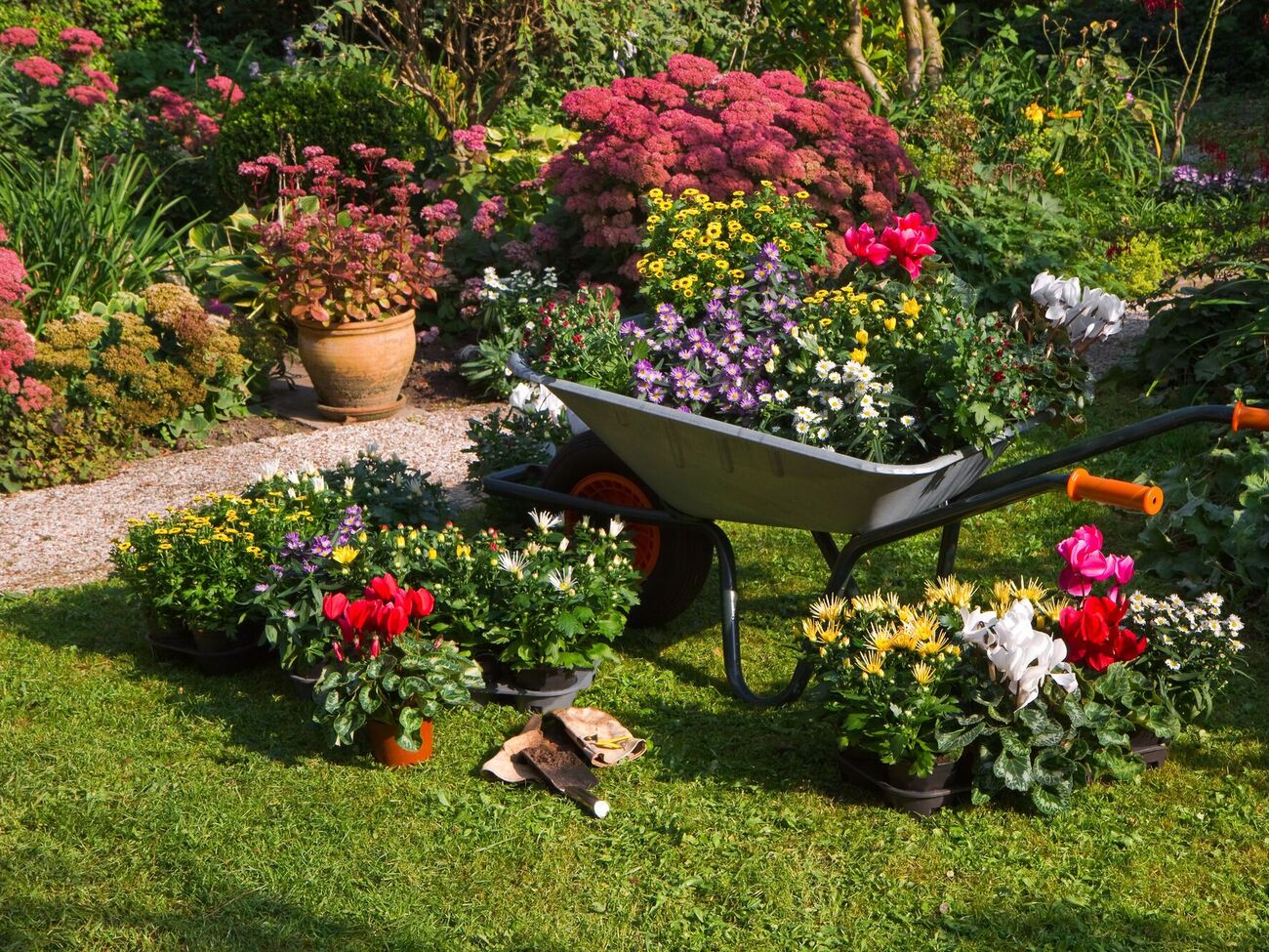 Сухая солнечная осень имеет свои преимущества, но может и навредить