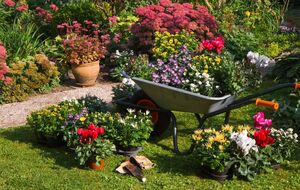 Сухая солнечная осень имеет свои преимущества, но может и навредить