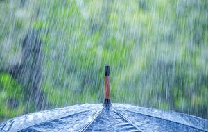 Дожди ожидаются в западной части Украины, а также, возможно, в Николаевской и Херсонской областях