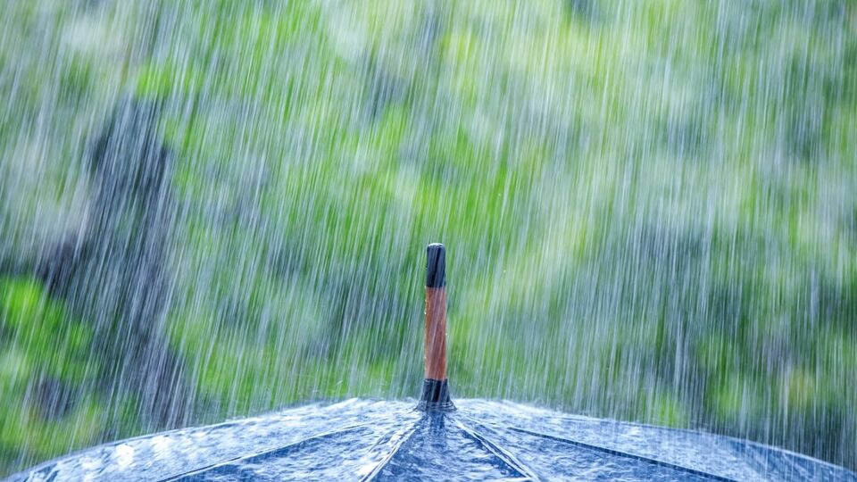 Дожди ожидаются в западной части Украины, а также, возможно, в Николаевской и Херсонской областях