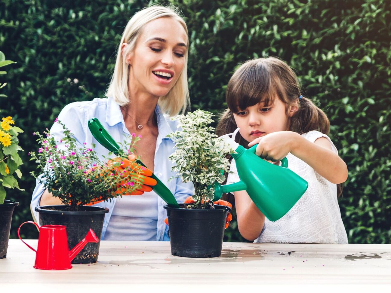 Квіти реагують на жорсткість води