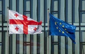 ЄС від Грузії очікує на проведення вільних і справедливих виборів