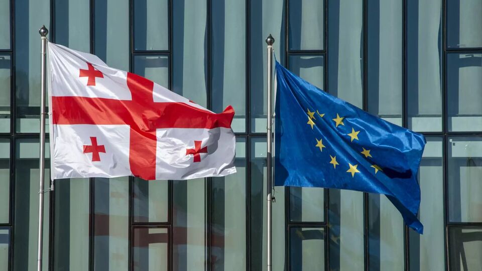 ЄС від Грузії очікує на проведення вільних і справедливих виборів