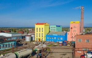 Безпілотники атакували російське підприємство "Биохим" у Тамбовській області РФ, яке виробляє спирт