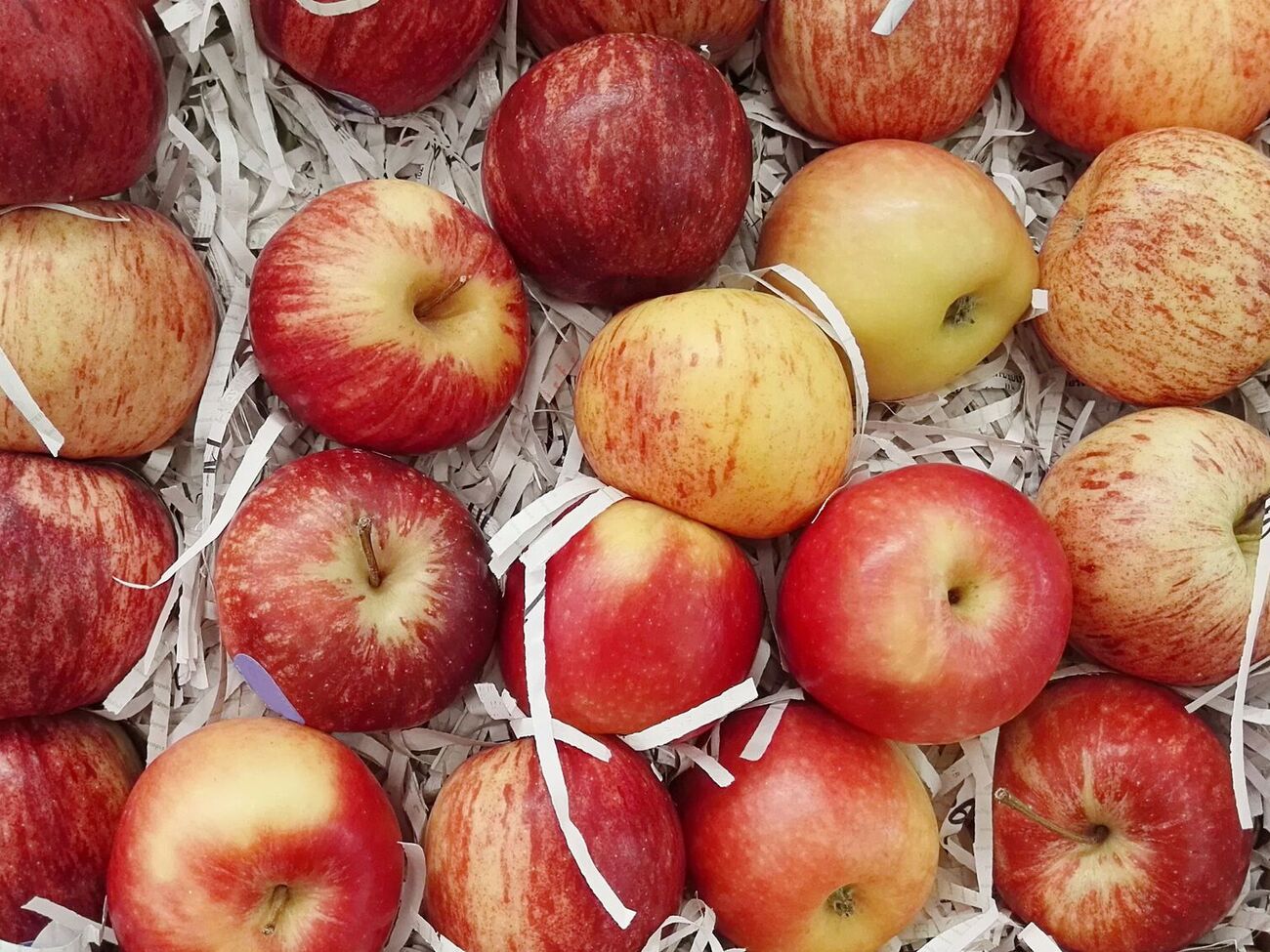 По словам Клопотенко, яблоки лучше хранить отдельно от других продуктов