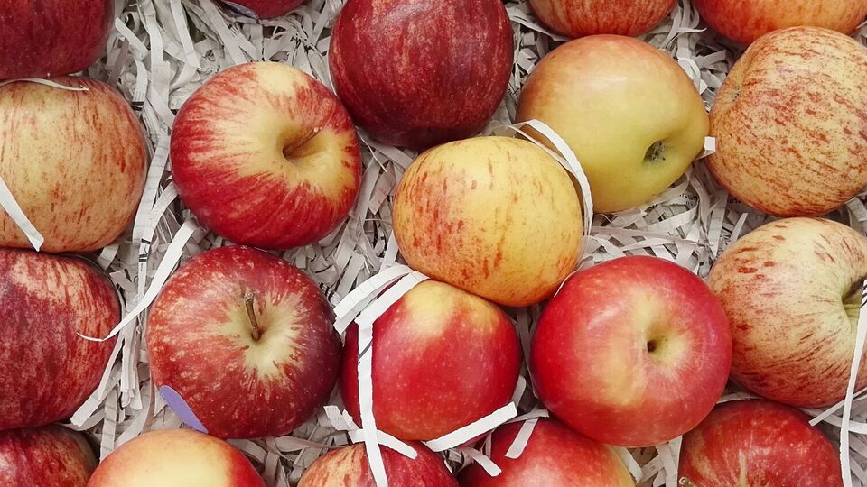По словам Клопотенко, яблоки лучше хранить отдельно от других продуктов