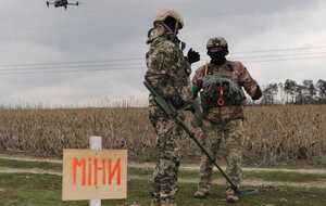 Потенційно замінованими в Україні залишається приблизно 14,4 млн га