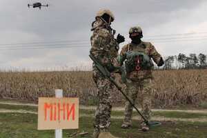 Потенциально заминированными в Украине остаются около 14,4 млн га
