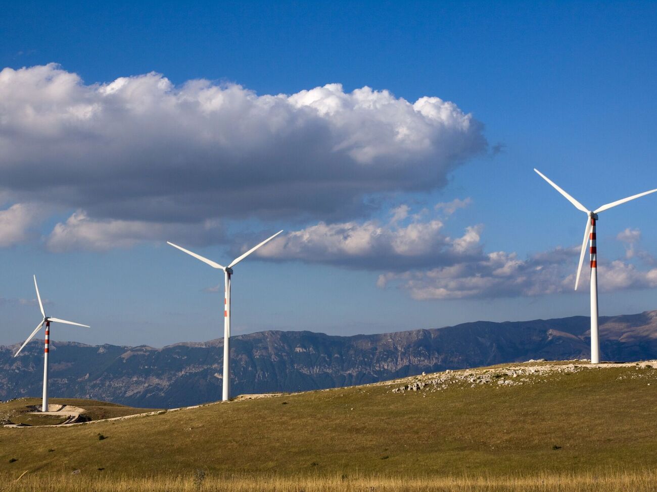 Олександр Гавва висловив переконання, що приєднання гарантій походження до системи СВАМ сприятиме розвитку "зеленої" генерації