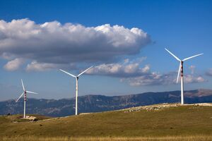 Олександр Гавва висловив переконання, що приєднання гарантій походження до системи СВАМ сприятиме розвитку "зеленої" генерації
