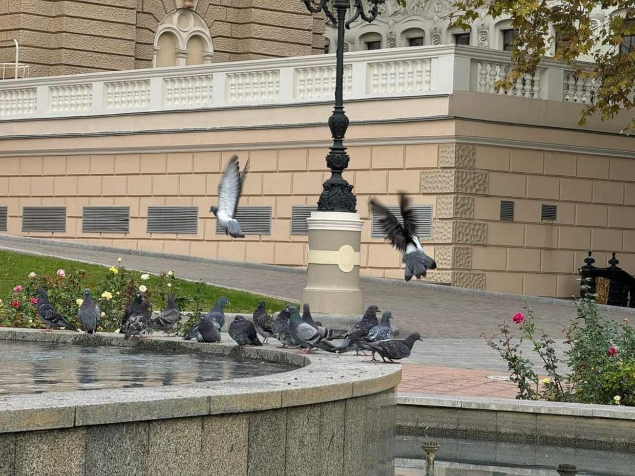 Дождей пока не будет, обещают синоптики