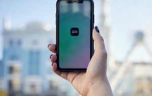 Незабаром у "Дії" відображатимуть, зокрема, відомості про зброю й дозволи на неї