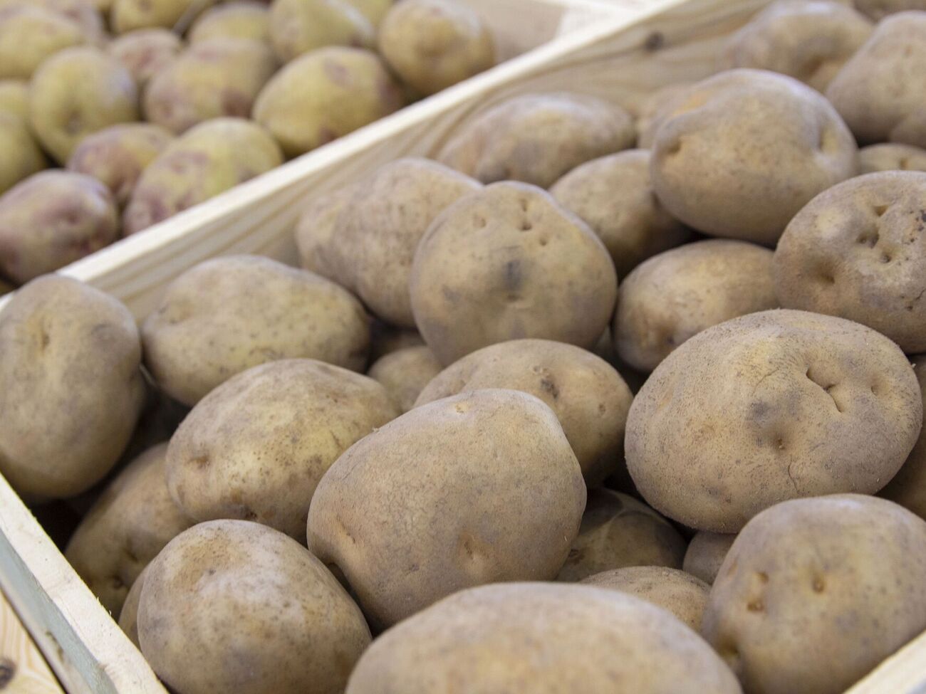 Картоплю найкраще зберігати в ящиках