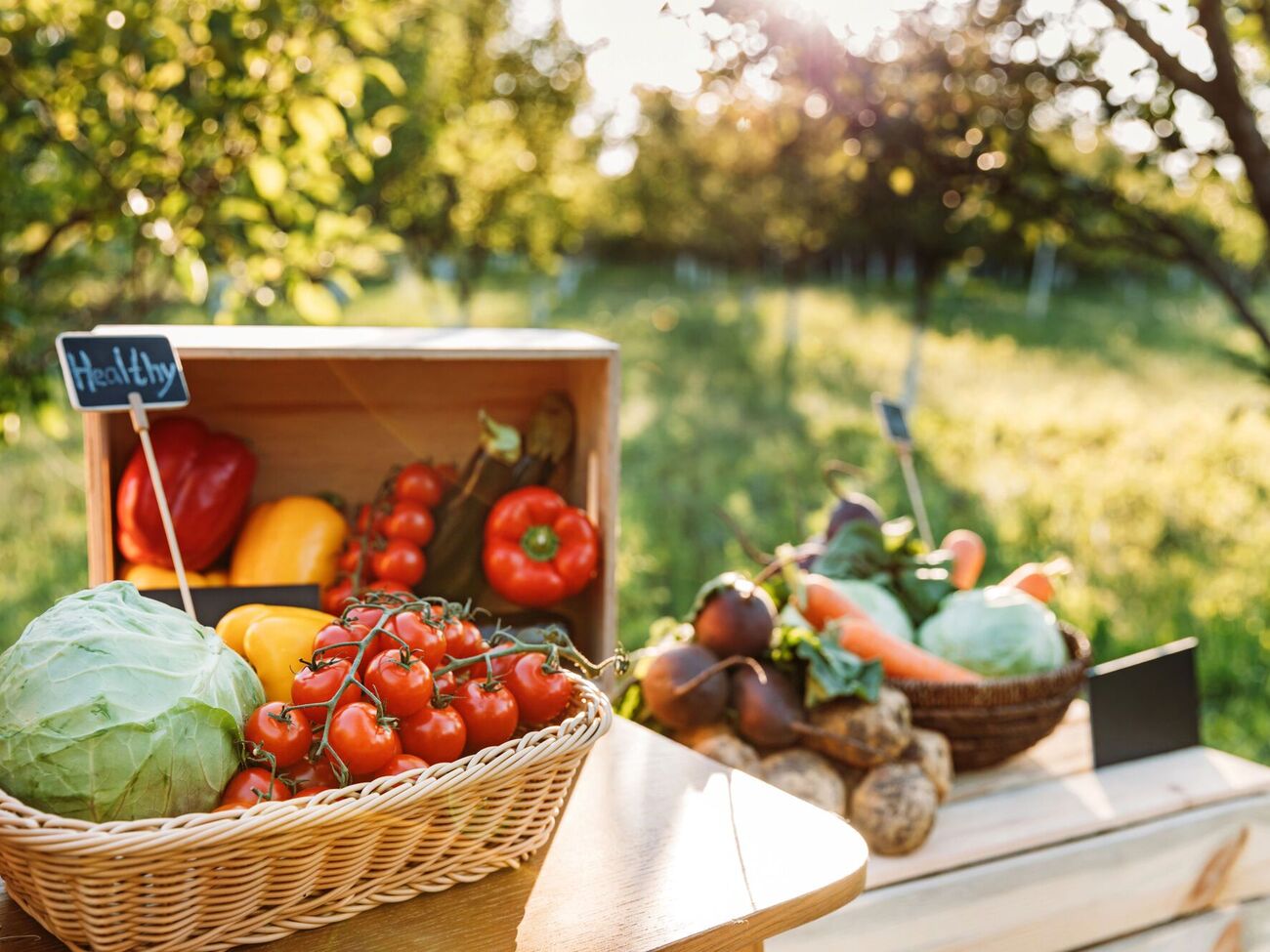 Некоторые овощи плохо растут на том месте, где собрали урожай капусты