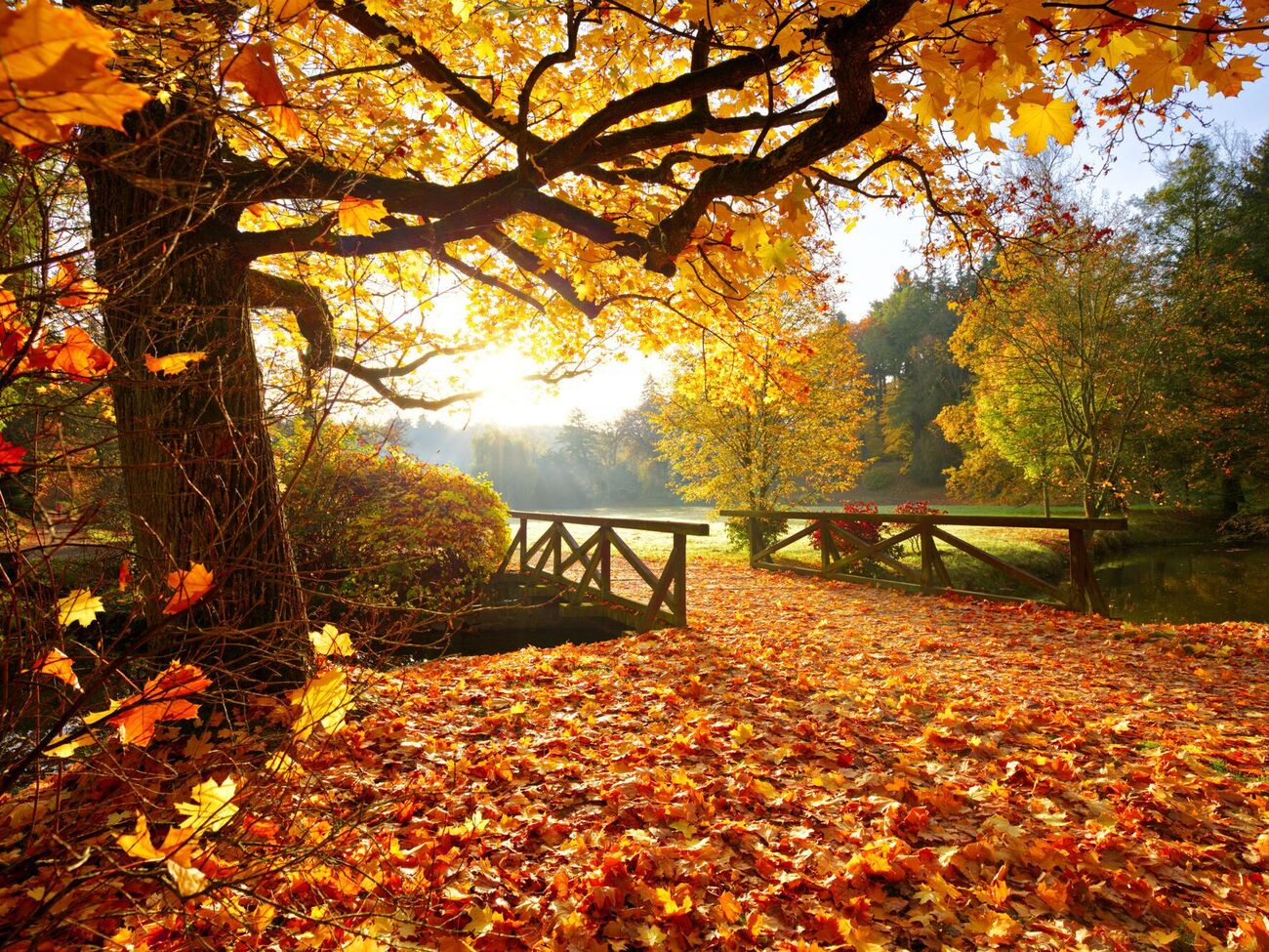 Теплее всего будет в западной части страны, холоднее всего – в восточной