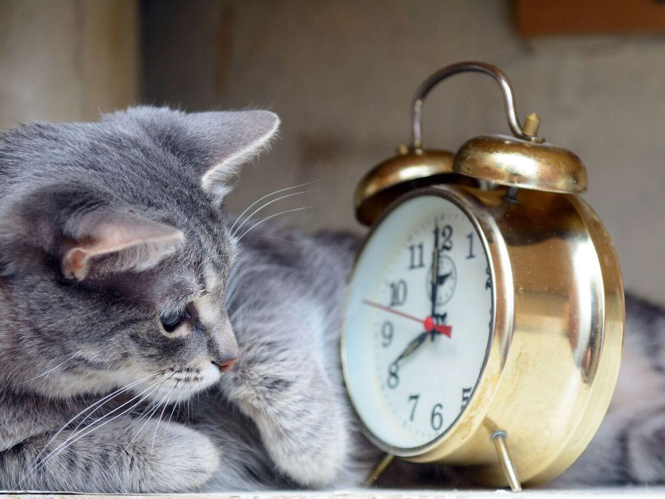 В 4.00 стрелки часов необходимо перевести на один час назад