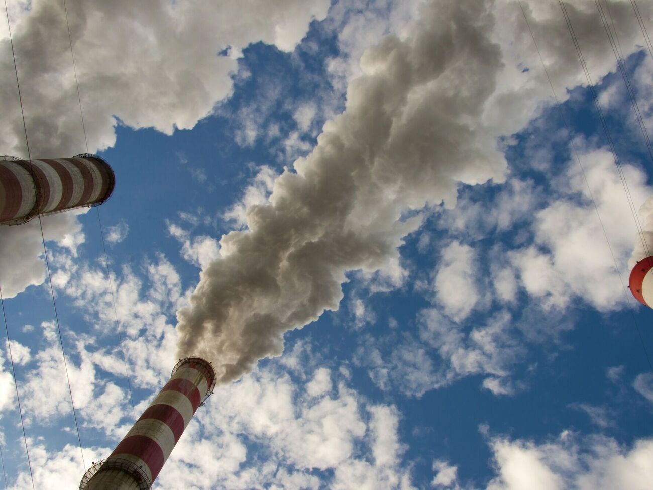 Экологический налог раздувает торговые войны, заявили в Европейской бизнес-ассоциации