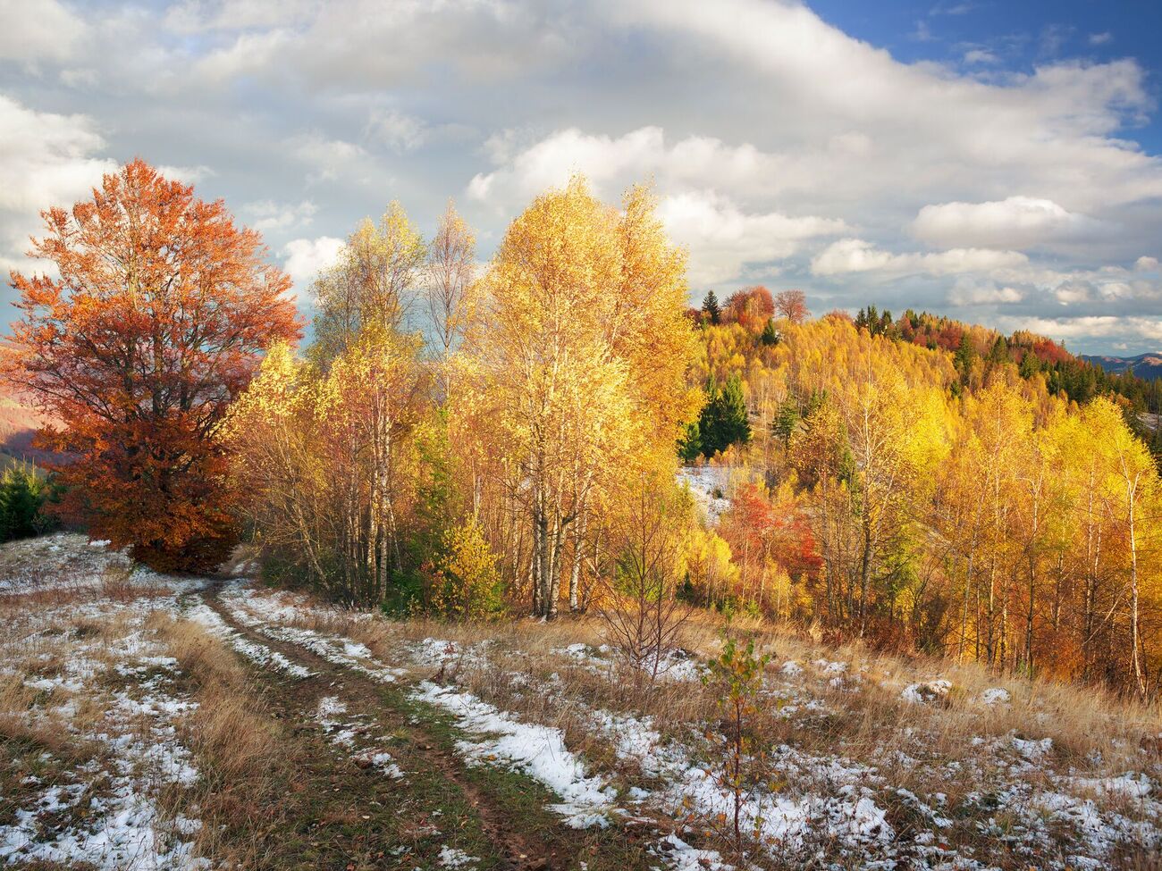 В следующие выходные ночью вероятны небольшие морозы, через неделю может выпасть снег, предупредила Диденко