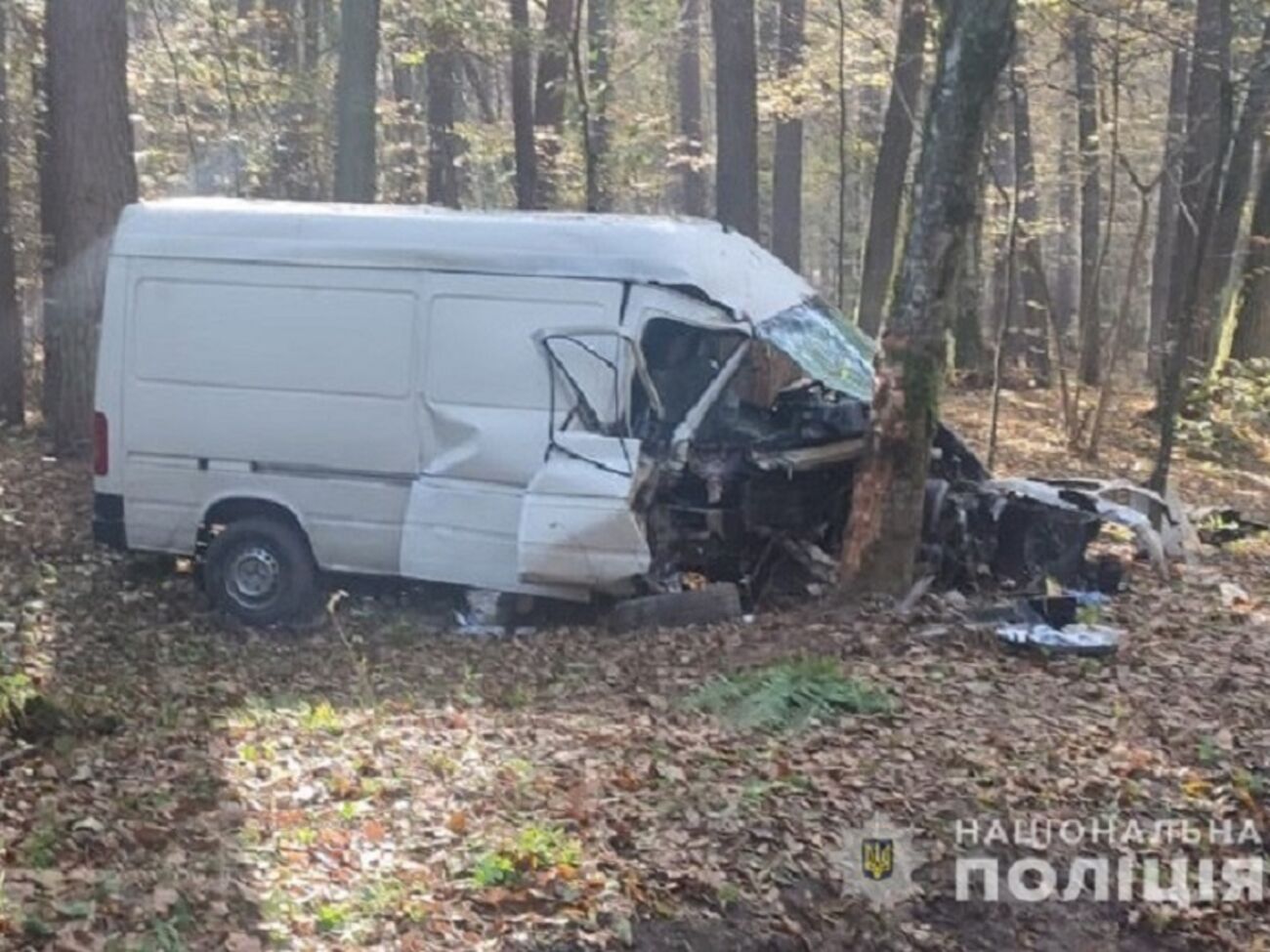 Фургон врезался в дерево