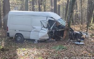 Фургон врезался в дерево