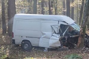 Фургон врізався в дерево