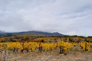 Ночью на захваченном РФ полуострове была воздушная тревога