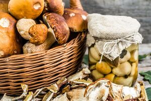 Лучше всего для маринования подходят небольшие грибы