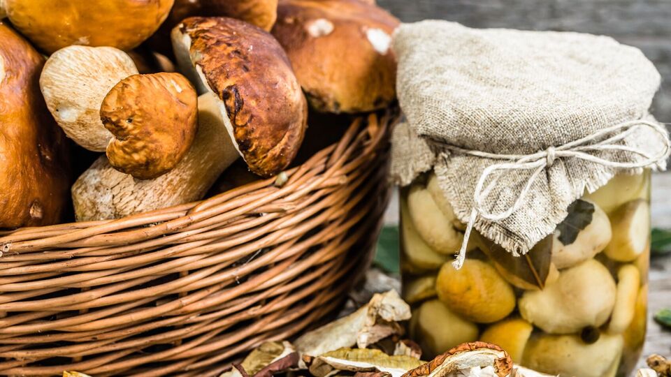 Найкраще для маринування підходять невеликі гриби