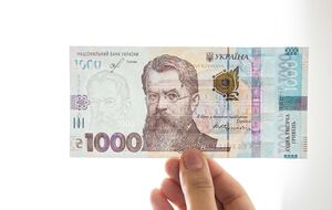 Финансировать программу "єПідтримка" будут за счет средств с других программ, которые не успевают освоить, сообщили в правительстве