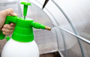 После уборки урожая теплицу следует обработать антибактериальными препаратами