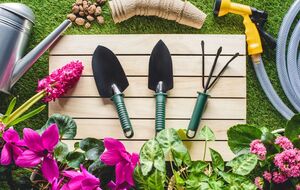 Следует знать плохие и успешные дни для работы в саду и на огороде