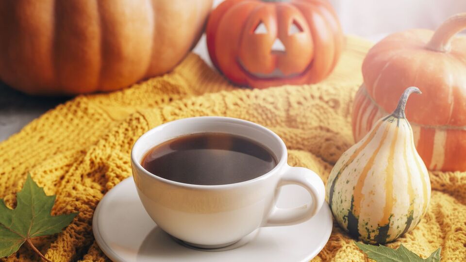 Ученые пришли к выводу, что кофеин снижает уровень холестерина