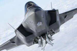 Украина попросила у Варшавы МиГ-29 после того, как Польша решила не сбивать этими истребителями российские ракеты над украинской территорией, рассказал Зеленский