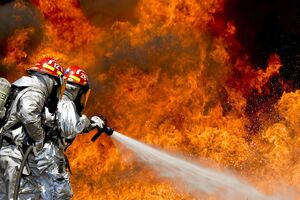Власти Воронежской области подтвердили факт пожара