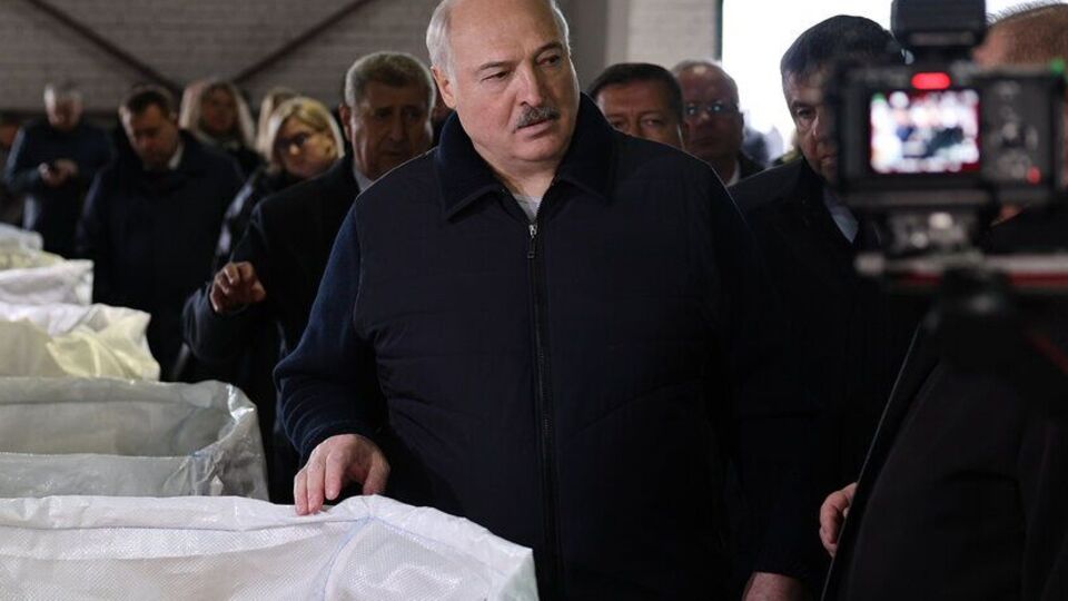 Лукашенко сообщил о "нескольких случаях" залета дронов в Беларусь