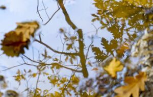 В середине недели в Киеве станет теплее, однако ненадолго, рассказала Диденко