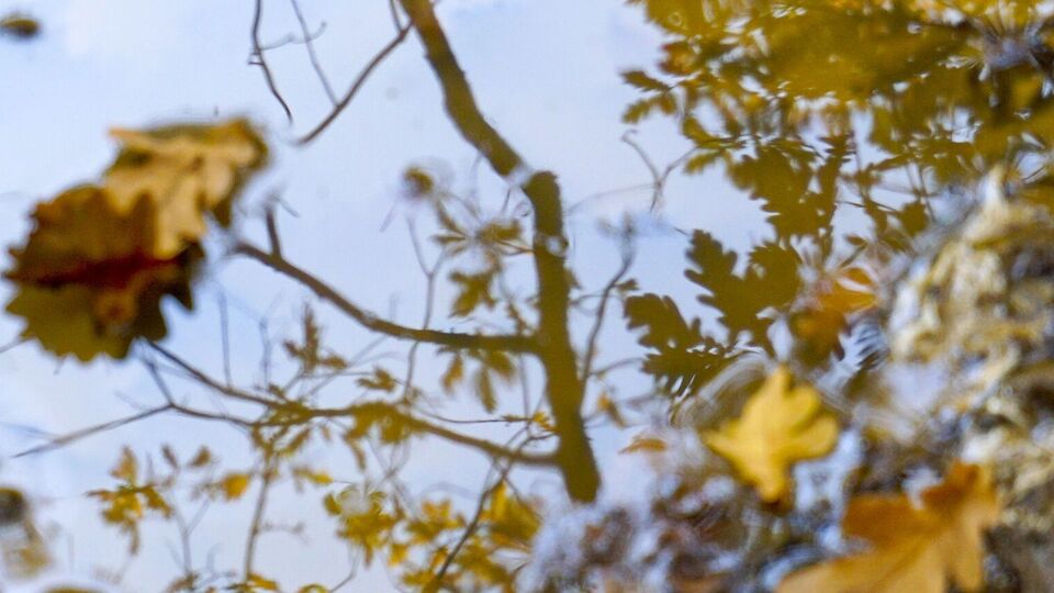 Усередині тижня в Києві потеплішає, однак ненадовго, розповіла Діденко