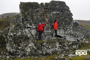 Все больше поверхности Антарктиды покрывается растениями